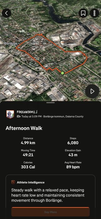 Satellitbild av Borlänge med markerad gångrutt. "Afternoon Walk": 4,99 km, 6 080 steg, 303 kalorier brända, genomsnittlig puls 89 bpm.