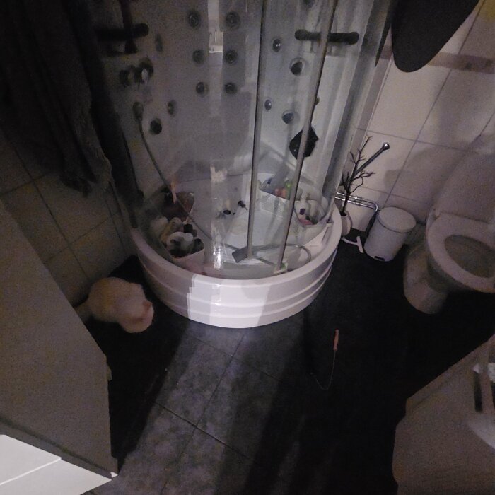 Duschkabin med läckage på golvet i ett mörklagt badrum, synliga duschtillbehör och en toalett bredvid.