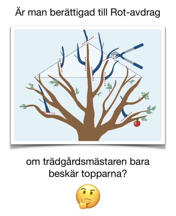 Illustration av en trädgårdsmästare som beskär toppen av ett träd med en fråga om ROT-avdrag.