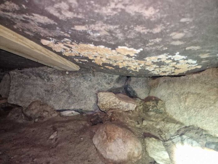 Mögel eller svamp under trossbotten i torpargrund, omgiven av stenar. Möjligen hussvamp eller annan rötsvamp, inspektion uppmanas.
