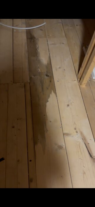Fuktig golvbräda på ett vindsutrymme, med synlig mörk fläck orsakat av vatten, misstänkt läckage ovanför ett badrum i nyförvärvat hus.