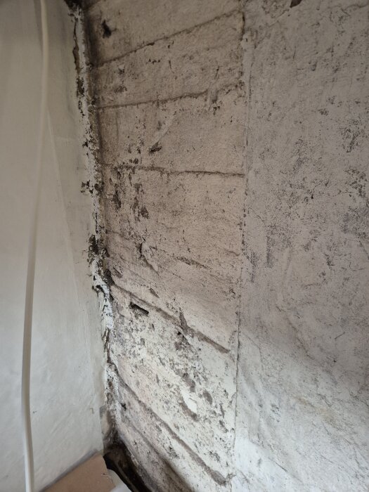 Ojämn putsad innervägg i källare, tidigare täckt med panel. Spår av gammal puts och kalkfärg syns, redo för renovering med nytt putsbruk.