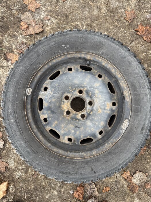 Gammalt bildäck med slitna spår och text "VPK3" och "2707" på en rostig fälg, placerat på ett markunderlag med torkade löv.