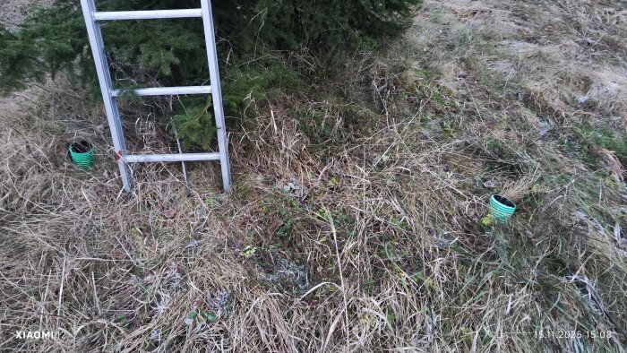 Två gröna rör sticker upp från marken på en gräskulle, bredvid en stege och ett träd.