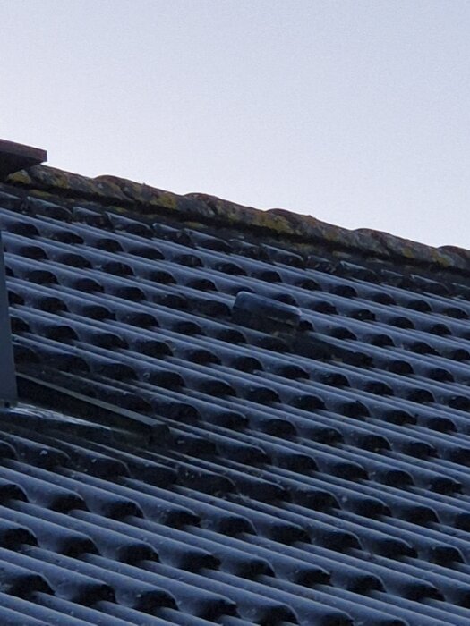 Tak med blå plattor och en liten svart puck synlig mellan plattorna.