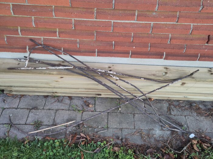 Rostiga armeringsjärn ligger på marken framför en tegelvägg med träbeklädnad längst ner.