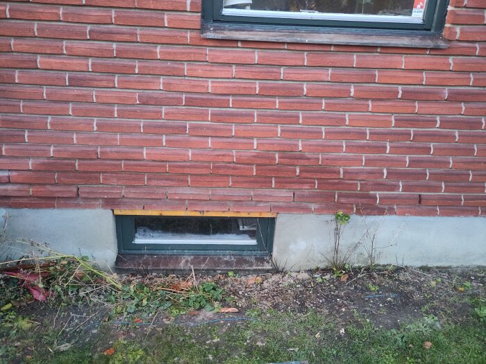 Källarvägg med rött tegel, fönster och grönska vid basen.