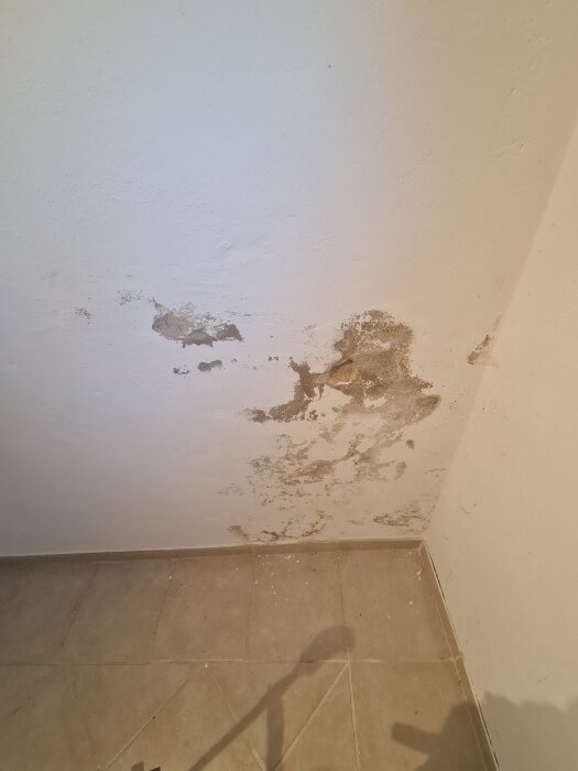 Skadad puts på källarvägg med synliga fläckar och saltutslag, visande resultat av tidigare fuktskada från trasig yttertrappa.