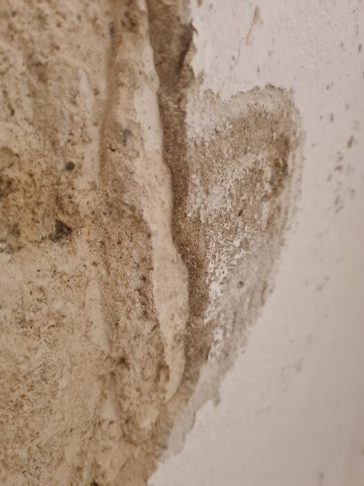 Närbild på en källarvägg med nedrivet puts och synliga fukt- och saltkristaller på ytan.