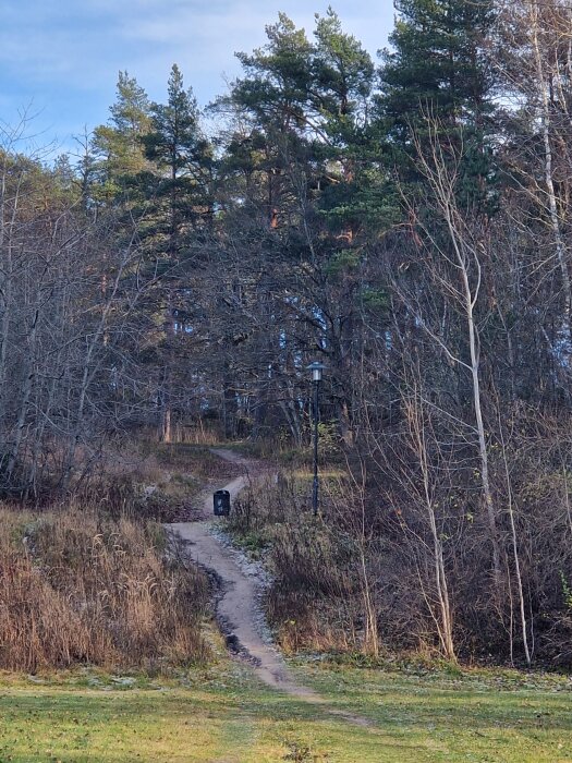 Skogsstig med barrträd och lövträd, en soptunna och en lyktstolpe längs grusväg. Klart väder med blå himmel och lummig omgivning.