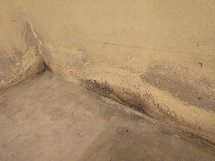 Vägg och golv i källarhörn, delvis utan puts, med synliga fläckar och betongytor som nyligen har slipats för renovering.