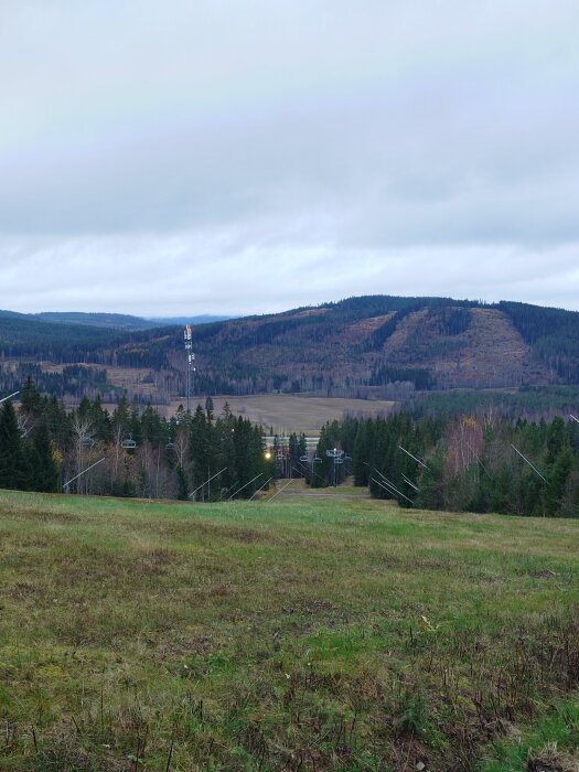 Grönskande landskap med skog, en slalombacke och en mobilmast på en mulen dag.