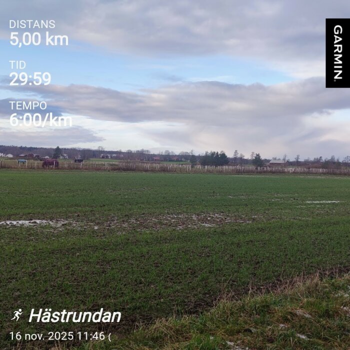 Landskap med grönt fält och molnig himmel, Garmin-data om löprunda: distans 5 km, tid 29:59, tempo 6:00/km, Hästrundan 16 nov. 2025.