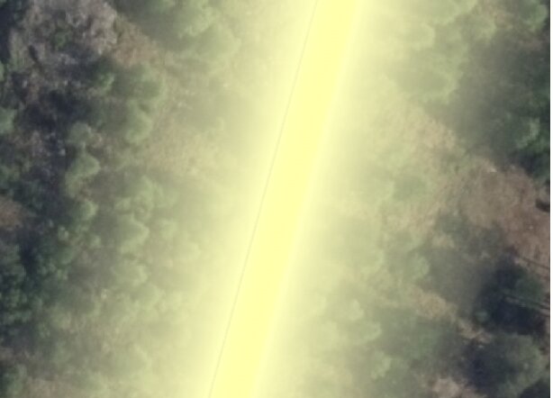 Luftfoto av en skogsgräns med en lysande, nästan overklig linje över, omgiven av träd och buskage.