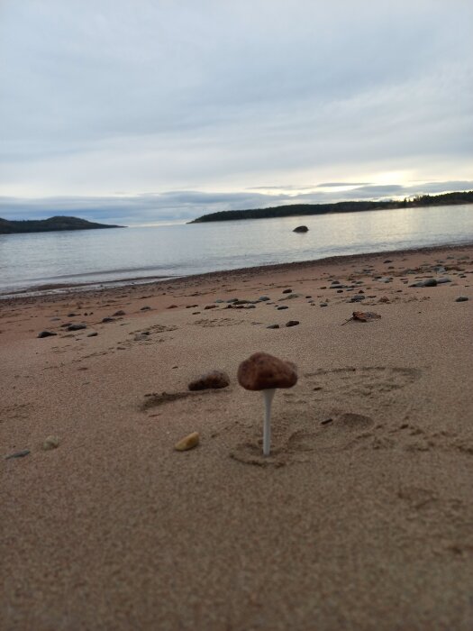 En golfpeg med en liten sten ovanpå i sanden på en strand, med en sjö och skog i bakgrunden under en mulen himmel.