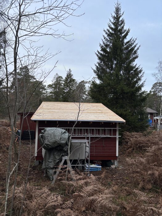 Röd byggnad med nytt råsponttak, omgiven av fält och träd. Stege och presenning syns i förgrunden framför byggnaden.