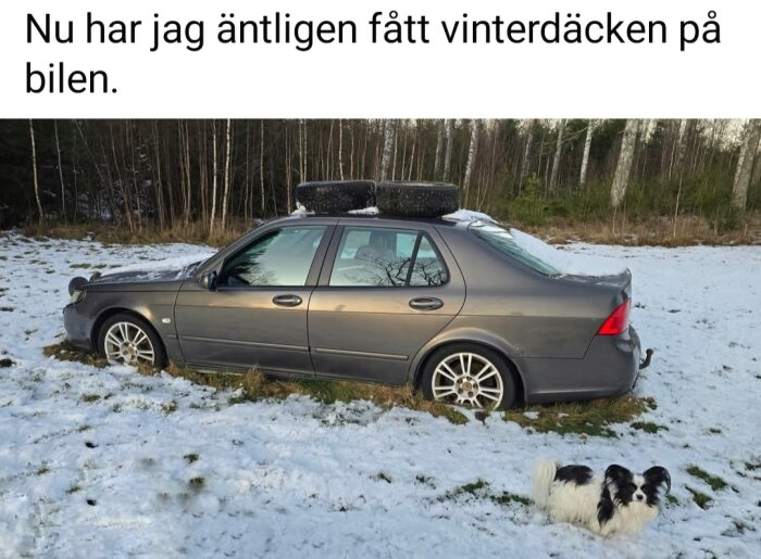 Grå bil med vinterdäck på taket parkerad på snötäckt mark, med en liten svartvit hund bredvid bilen.