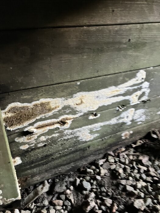 Svamptillväxt på träplankor under en altan, som visar tecken på röta och fukt.