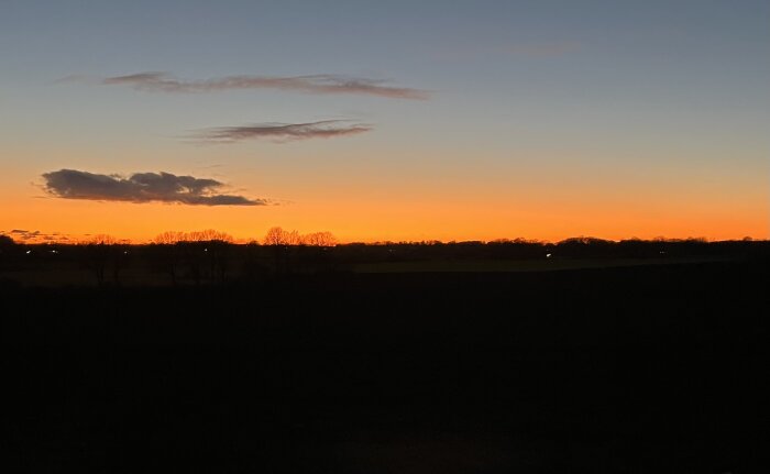 Solnedgång över en privat väg med klart orange himmel och mörka siluetter av träd.