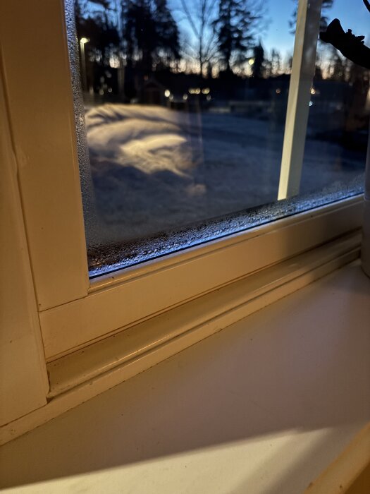 Frostig fönsterbåge inifrån vid skymning, vattenkondensering synlig på glaset.
