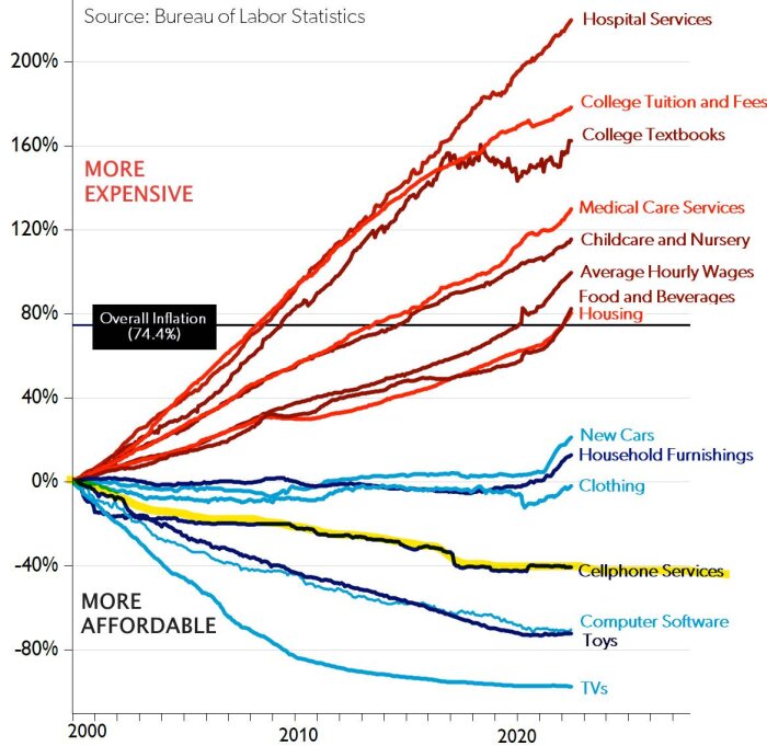 Prisgraf över olika varor och tjänster från 2000 till 2020. Elnät indikeras i den röda delen av grafen, associerad med högre kostnadsökningar.