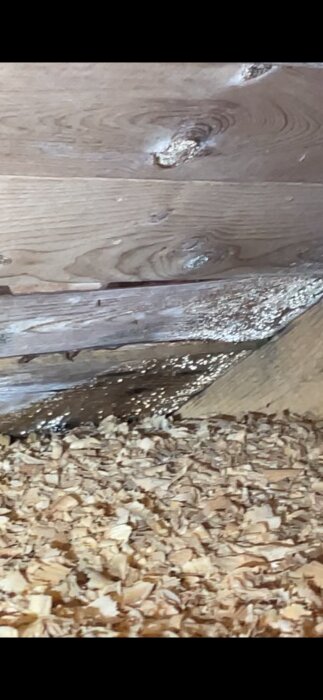 Kondensdroppar synliga på takstolarna och råsponten i en torpvind med sågspånsisolering.