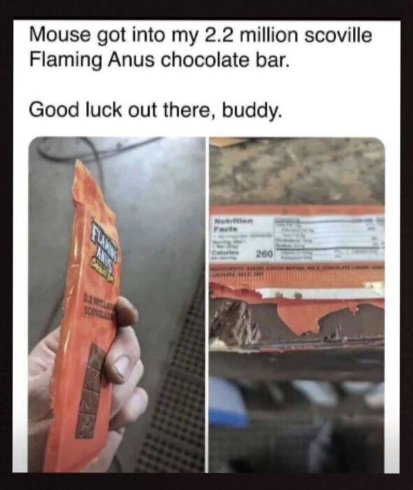 En skadad chokladkaka med texten "2.2 million scoville Flaming Anus", två bilder: en omärkt förpackning och en närbild av gnagda kanter.