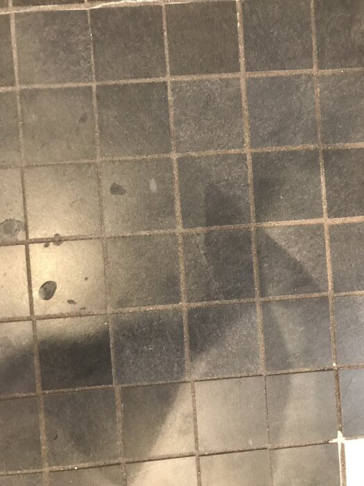 Slitna och missfärgade fogar mellan mörka klinkerplattor i ett badrum, med fläckar och tecken på nedslitning.