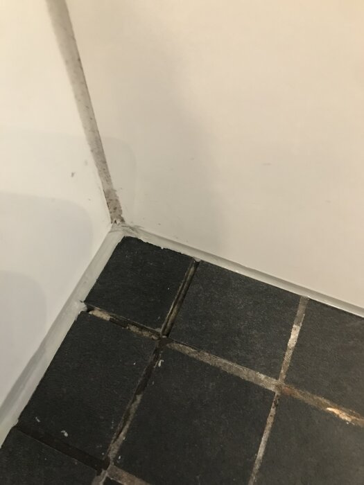 Slitna och missfärgade fogar mellan mörka badrumsklinkers, speciellt i duschhörnan, med tecken på nedslitning och behov av påfyllning.