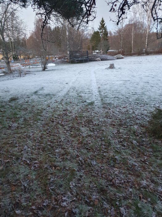Spår av däck i lätt frostigt gräs med nedfallna löv, omgivna av träd och ett staket i bakgrunden.