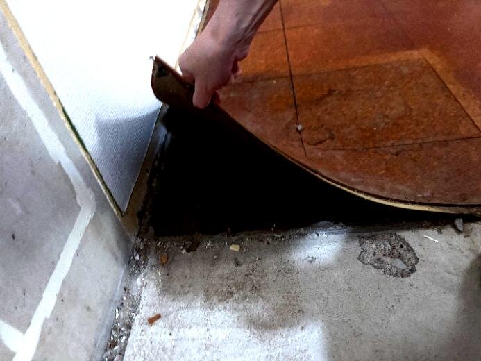 En hand lyfter ett gammalt brunt linoleumgolv, visar betong och grå fästmassa under, i en lägenhet från 1961.