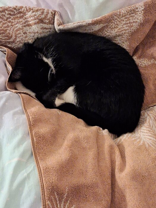 Svartvit katt sover på en beige filt.