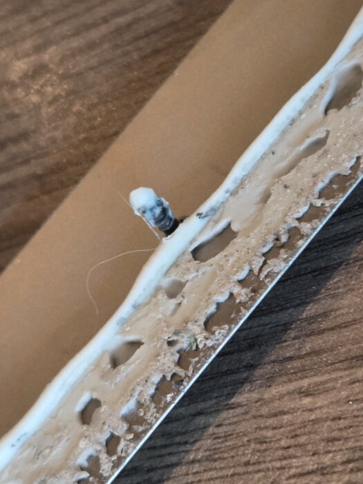 Lös skruv och gammalt lim under en övergångslist mellan två rum på trägolv.