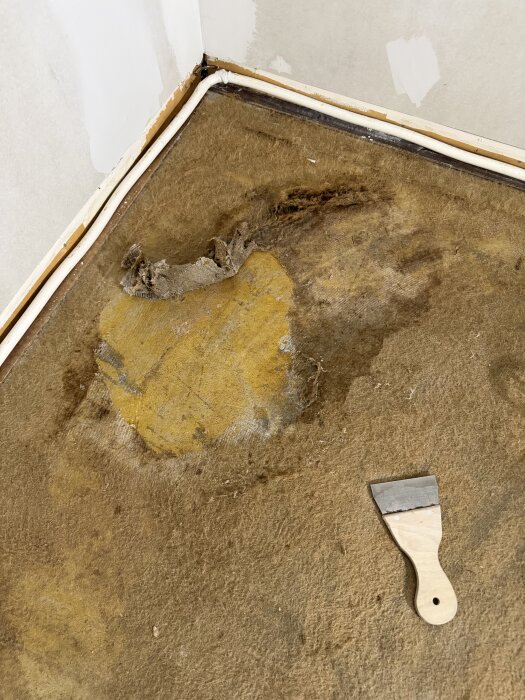 Skrapa och gammalt mattlim på betonggolv i ett hörn, med vatten och mattsläppningsprocess synlig.