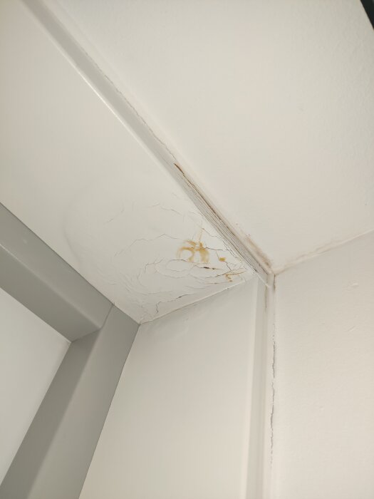 Vattenskada i hörnet av en dörrkarm med svällt och bubbligt foder samt missfärgningar på väggen.