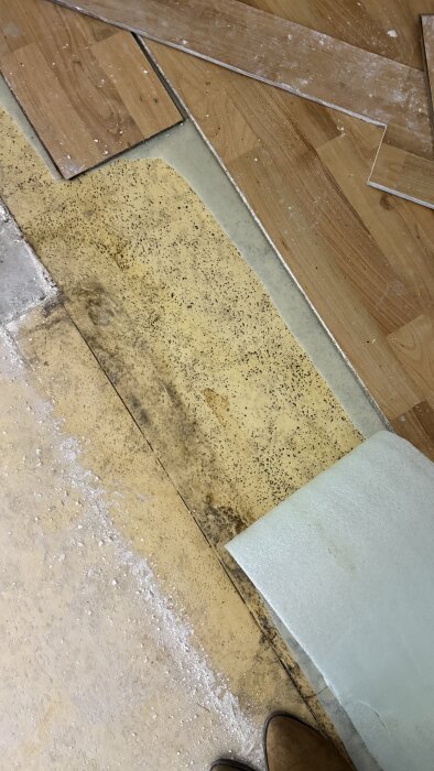 Bild på uppbrutet laminatgolv där plastmatta syns under. Svarta fläckar är synliga, men inte på hela mattan. Eventuellt tecken på svartmögel.