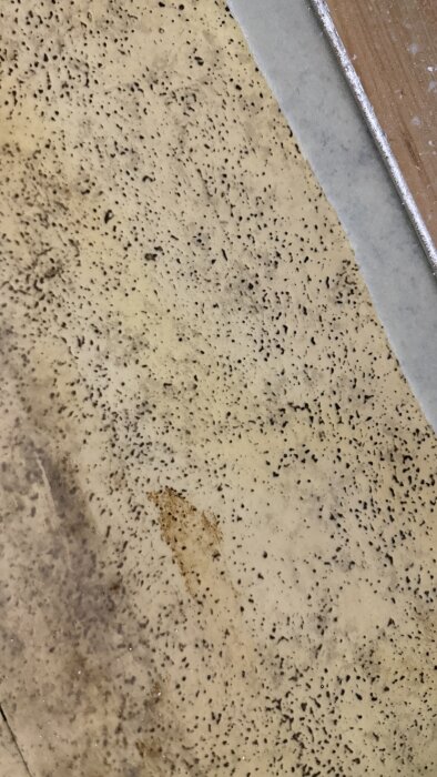 Plastmatta med svarta fläckar under borttaget laminatgolv i ett 1975-hus. Eventuellt misstanke om svartmögel.