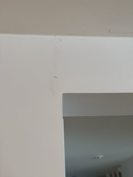 Sprickor och markeringar på en bärande vägg, med särskild uppmärksamhet på en hörna i övergången mellan vägg och tak.
