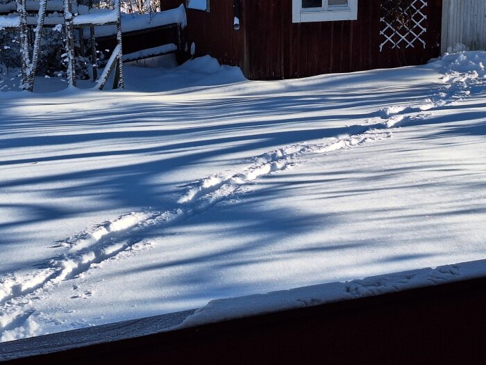 Snötäckt trädgård med ett rött uthus i bakgrunden och fotspår i snön, vintersol skiner.