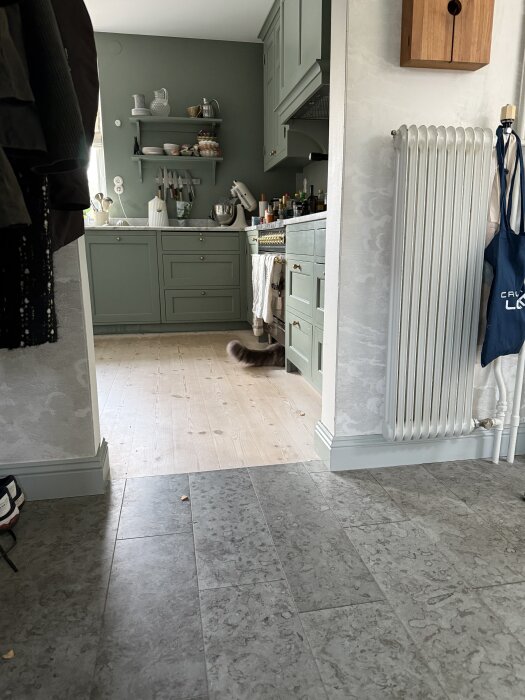 En hunds bakdel syns i en dörröppning i ett kök med grön skåpinredning och olika köksredskap på bänken.