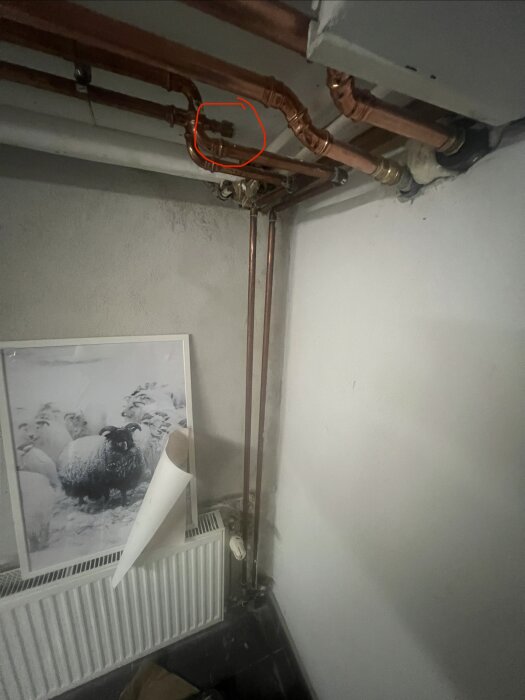 Kopparrör och luftventil vid fläktkonvektor i källare, markerad i rött. Element och tavla med fårmotiv synliga.