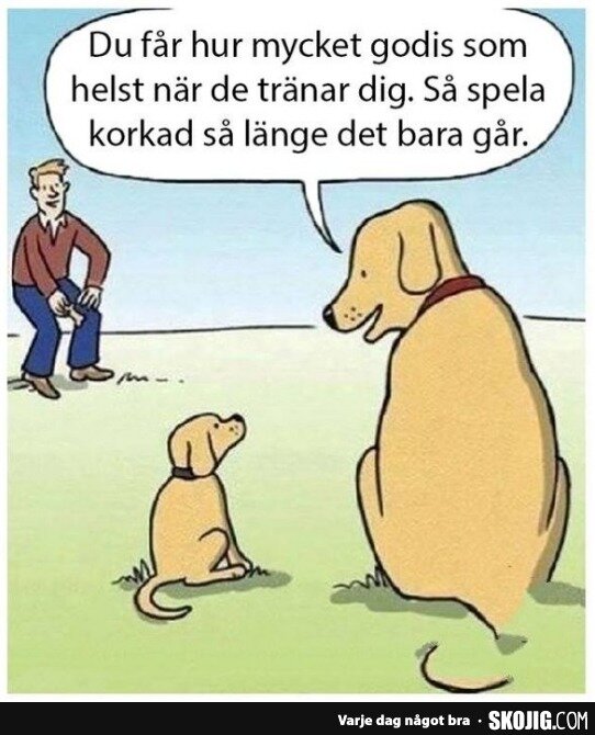 En stor och en liten hund sitter, den stora säger till den lilla att spela korkad för att få godis, medan en man tittar på.
