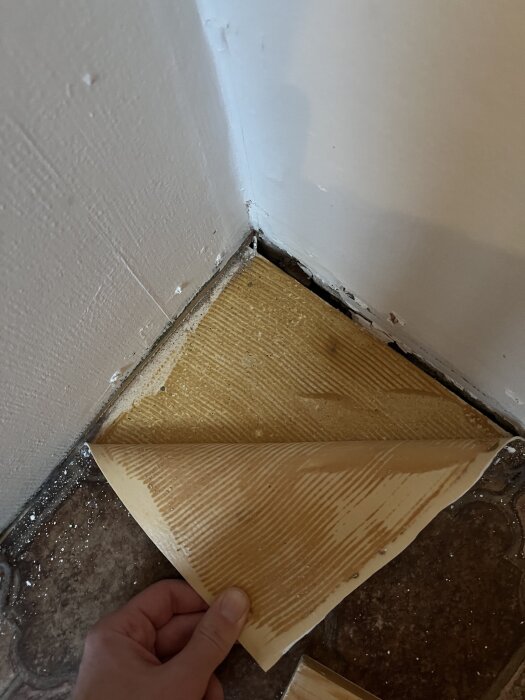 En person viker upp en gammal plastmatta i hörnet av ett rum, mattan är limmad direkt på en ljusbrun spånskiva utan lager under.