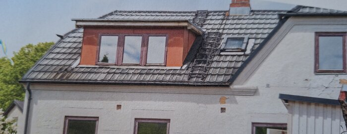 Hus med takfönster, röd takkupa och svart tak med stege. Peppar omkringliggande grönska.