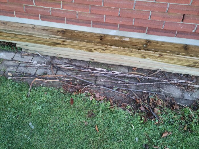 Rostiga armeringsjärn placerade på marken framför en tegelmur med träpanel.