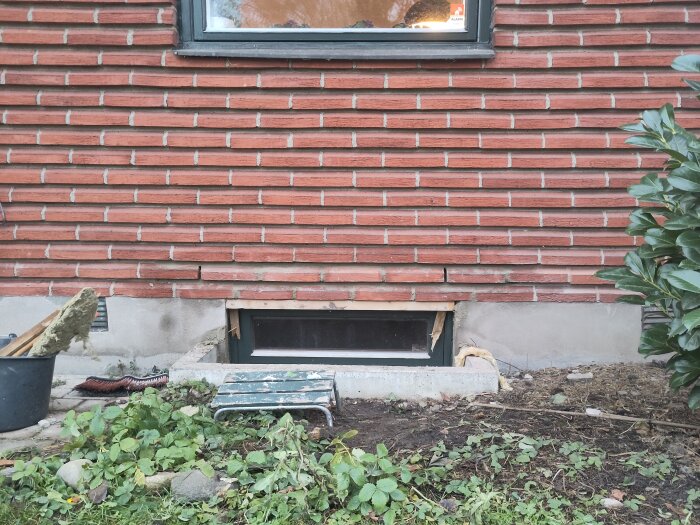 Källarfönster under renovering med tegelvägg, omgiven av växter och verktyg.