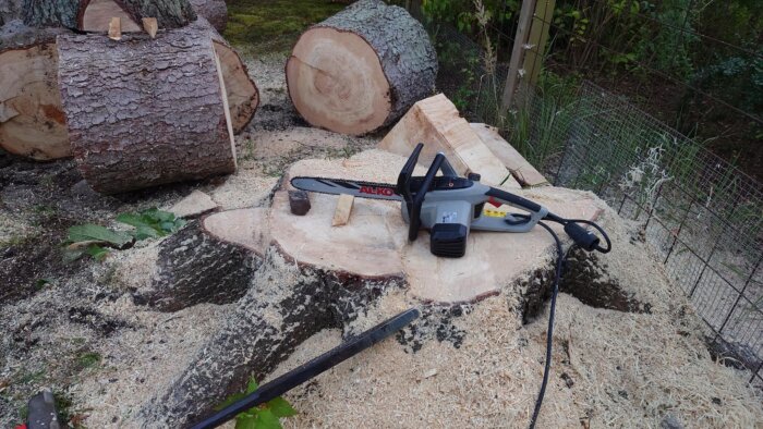 Motorsåg av märket AL-KO ligger på en stubbe omgiven av sågspån och kapade trädstammar i en trädgård.