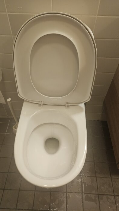 Bild av en öppen IFÖ toalettstol med lock uppfällt, tagen ovanifrån. Toalettens inre delar är synliga.