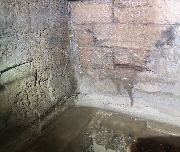 Fuktig källarvägg med synliga fuktfläckar och kalkavlagringar på grov stenstruktur. Golvet är delvis vått av fukt från väggen.