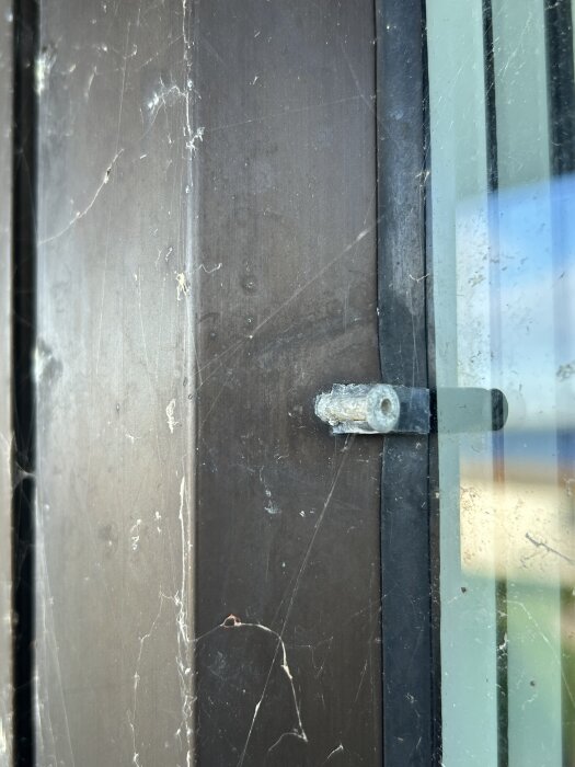 Bruten popnit som fäster spröjs nära fönsterruta på träyta, omgiven av gamla spindelväv.